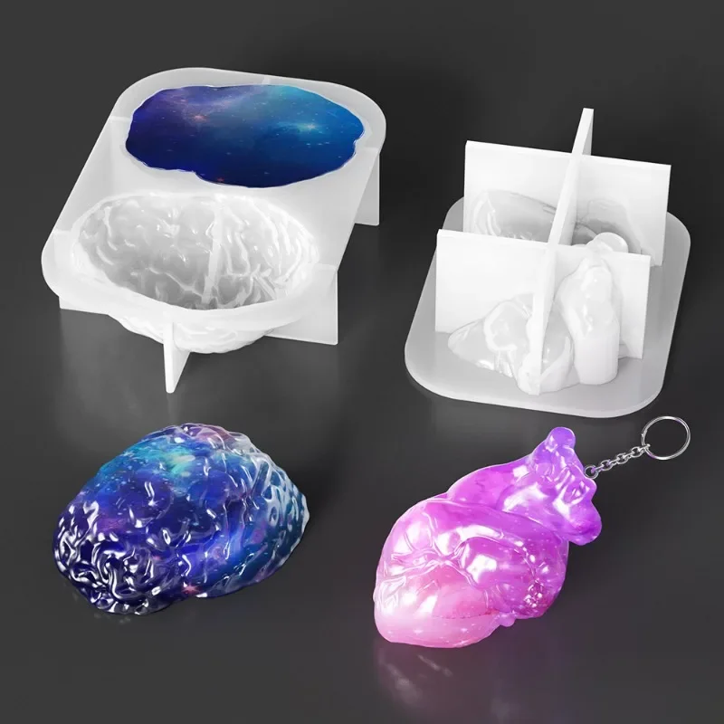 Silicone Molds Set Human Organ - Silicone Epoxy Resin Molds Set recension och pris