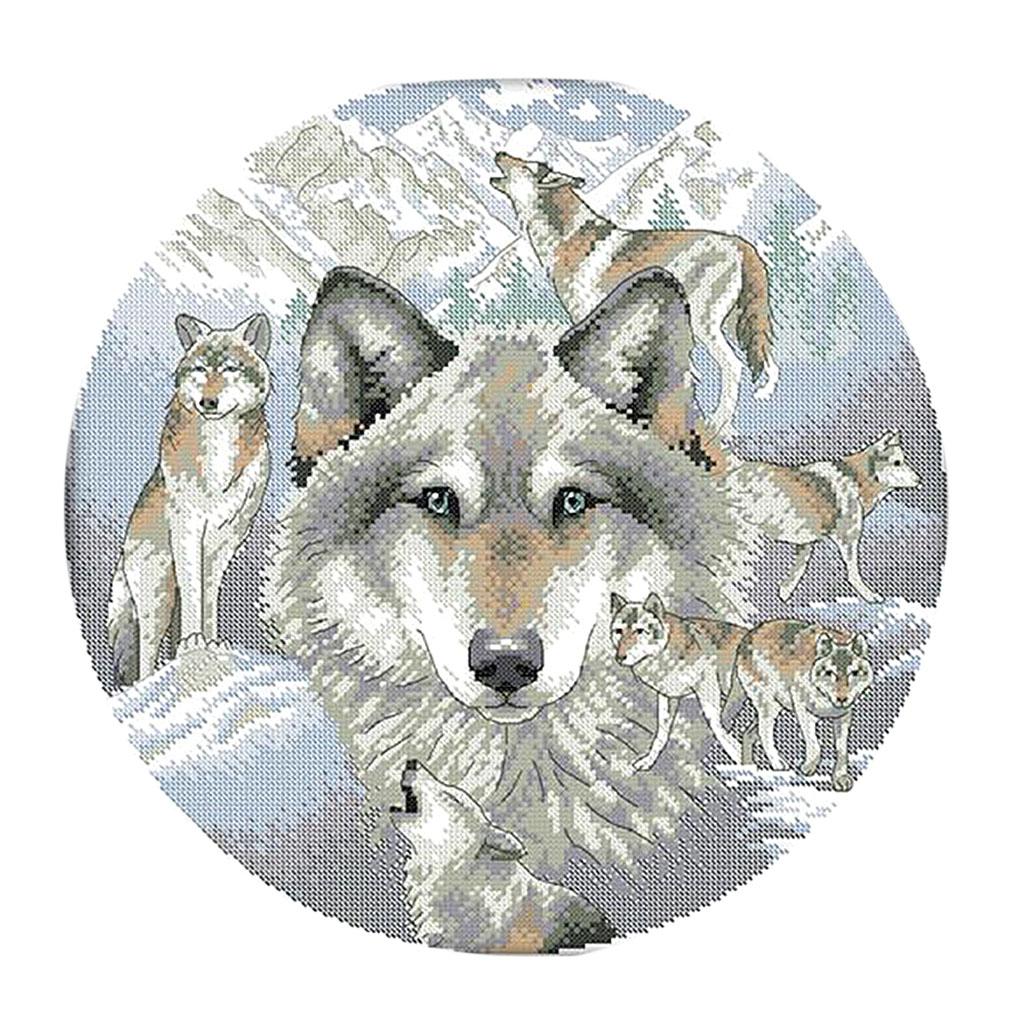 Stamped Cross Stitch Kits Cott - Cross Stitch Stamped Kits Beginners recension och pris